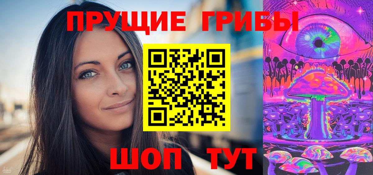 Волжский  Галлюциногенные грибы Cubensis  цены   Вход с VPN 