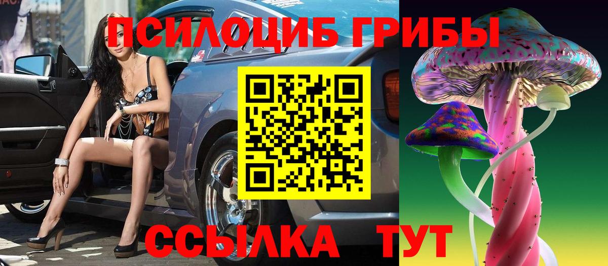 Галлюциногенные грибы Cubensis Волжский